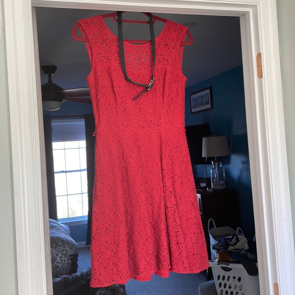 Burnt orange lace White House black market yolked dress